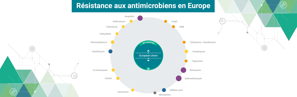 Visualisez les données : Résistance aux antimicrobiens en Europe