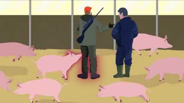 African Swine Fever: how to stay one step ahead