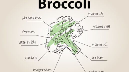 Illustration of broccoli nutrients