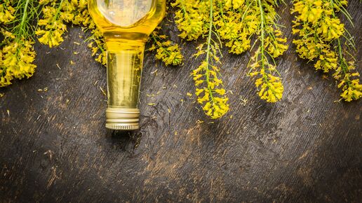 Rapeseed oil in glass bottle and flowers on a table