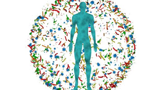 Abstract picture of microbiome