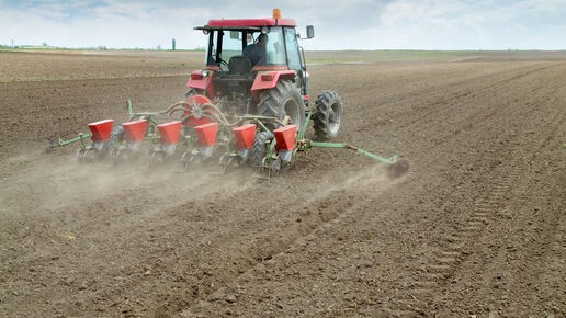 Farmer sowing crops with pneumatic seeding machine