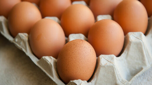 Eggs in an egg panel