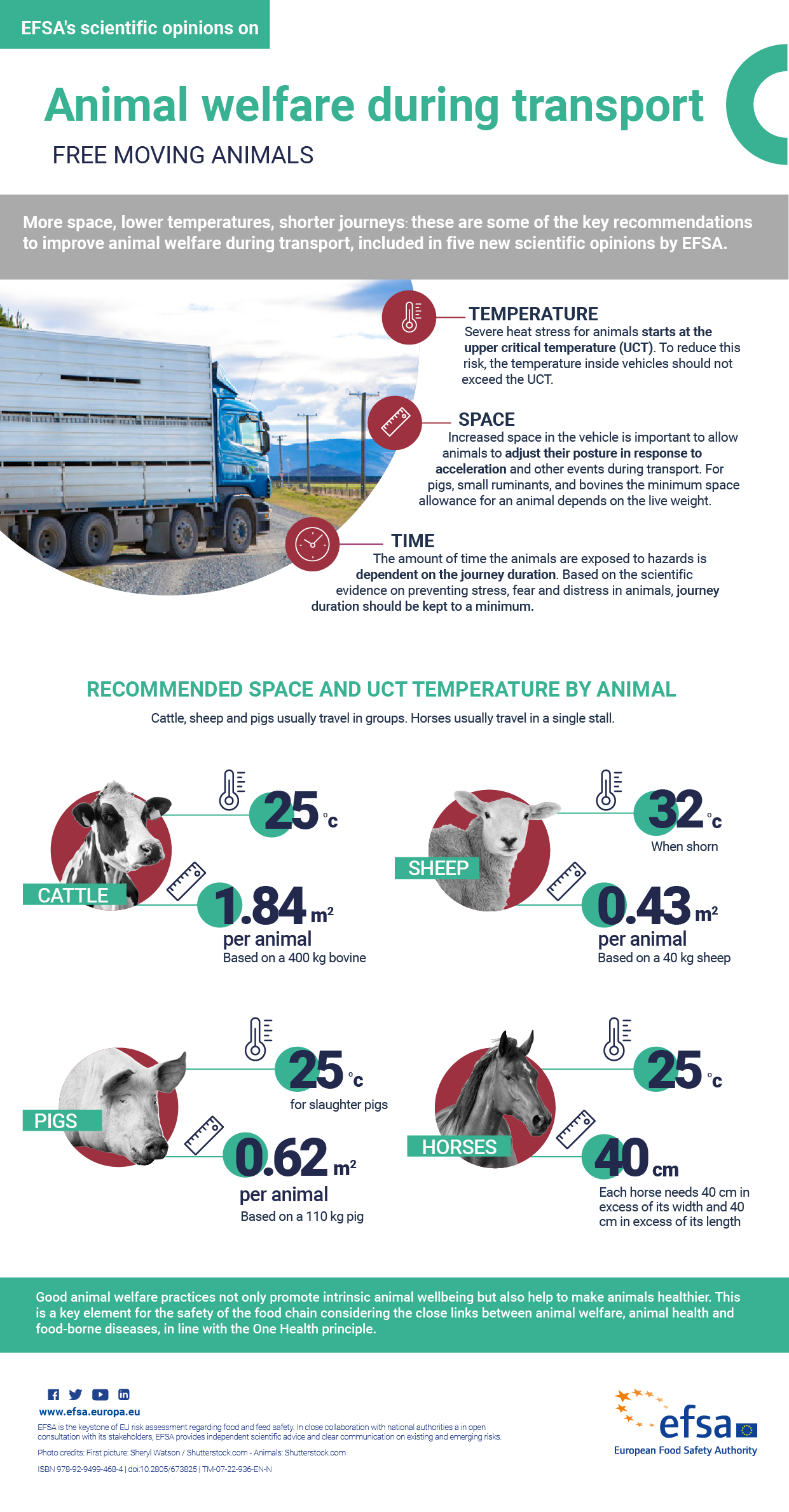 Animal welfare during transport: free moving animals