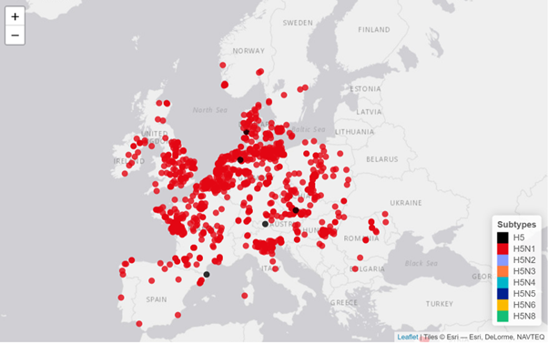 Dashboard on highly pathogenic avian influenza virus detection in Europe