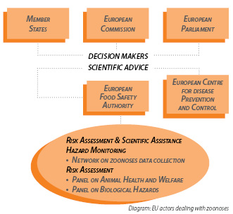EU actors dealing with zoonoses