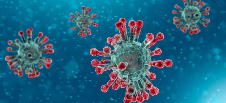 Coronavirus Delhi: Amid spike in Covid-19 cases in 5 states including Punjab, Delhi has taken a decision. Negative coronavirus test report.