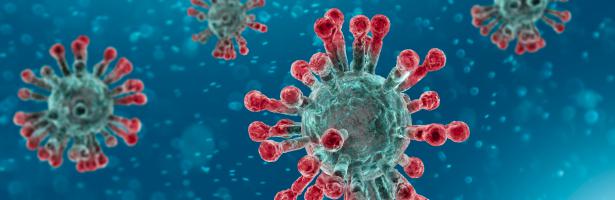 Coronavirus: no hay pruebas de que los alimentos sean una fuente o