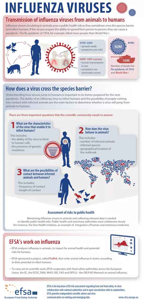Infographic: Transmission of influenza viruses from animals to humans