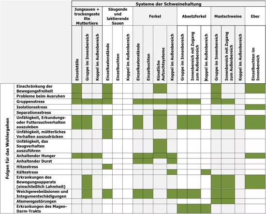 Zusammenfassung der festgestellten Auswirkungen auf das Wohlergehen der Tiere und der Haltungssysteme nach Schweineart und Haltungssystem.