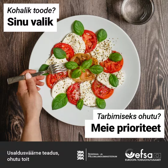 Caprese salat mozzarella tomatite ja basiilikulehtedega