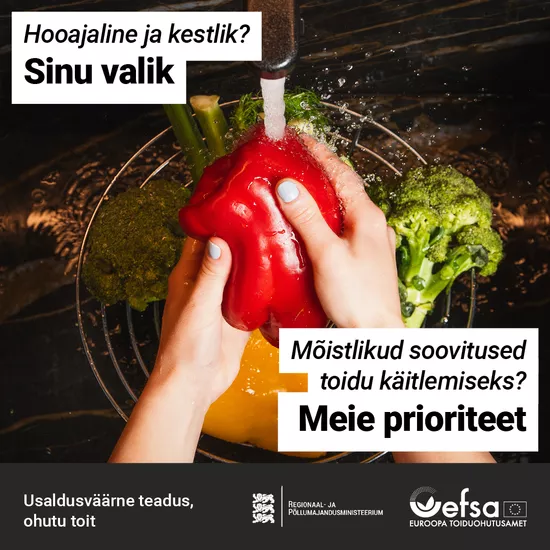 Köögiviljade pesemine