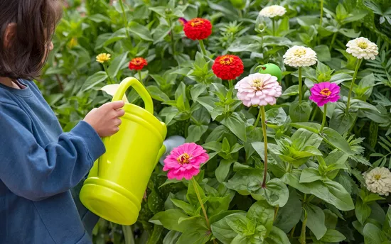 child watering plants