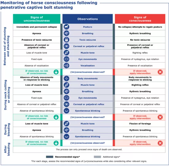 infographic welfare at slaughter pls