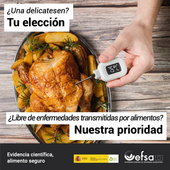 temperature checking on cooked chicken