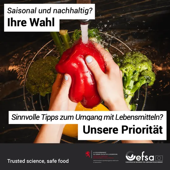 Waschen des Gemüses