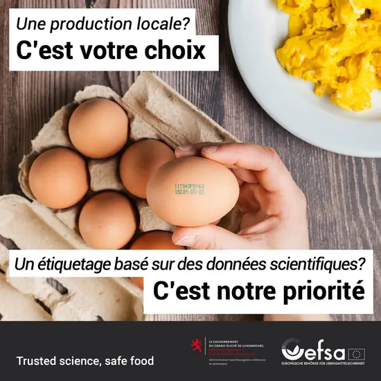 œufs dans une boîte