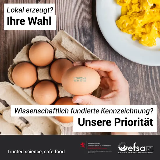 Eier in einer Schachtel