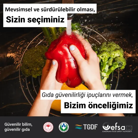 Food Handling