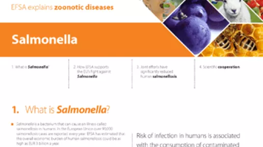 factsheet_thumb_salmonella_en.png