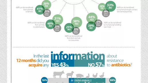 "Public perception of the risks associated with antimicrobial resistance (AMR)" infographic