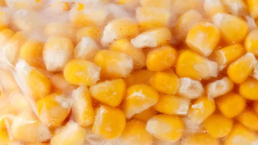 Frozen corn in a plastic bag for long term storage