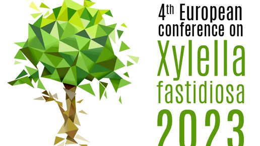  4th European Conference on Xylella fastidiosa