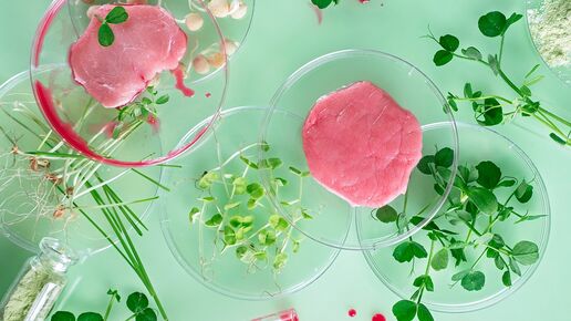 Fresh raw meat with herbs on green background