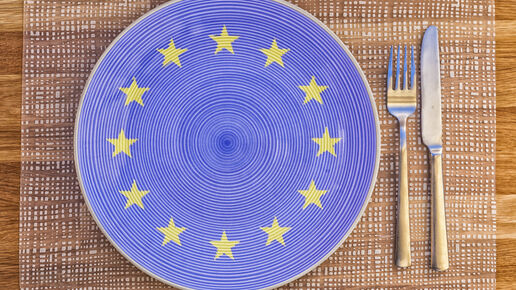 Dinner plate with the flag of the European Union on it