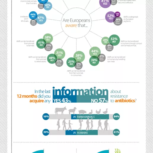 "Public perception of the risks associated with antimicrobial resistance (AMR)" infographic