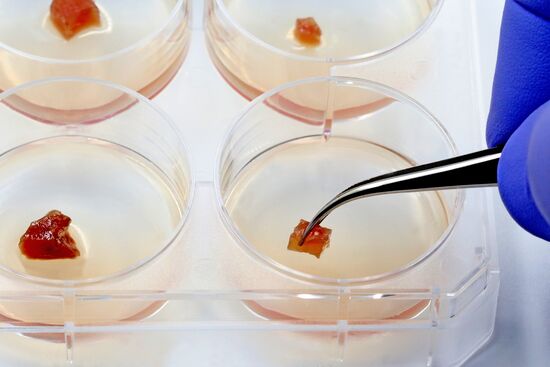 EFSA’s Scientific Colloquium 27 “Cell culture-derived foods and food ...