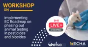 workshop ec roadmap animal testing