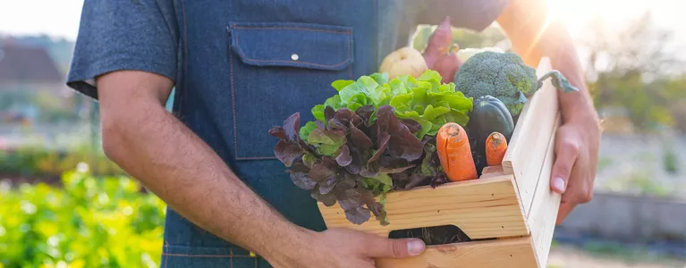 crate full of vegetables