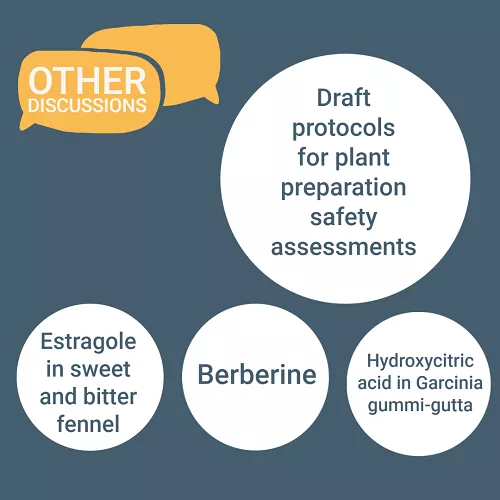 Other discussions, Draft protocols for plant preparation safety assessments; Estragole in sweet and bitter fennel; Berberine; Hydroxycitric acid in Garcinia gummi-gutta