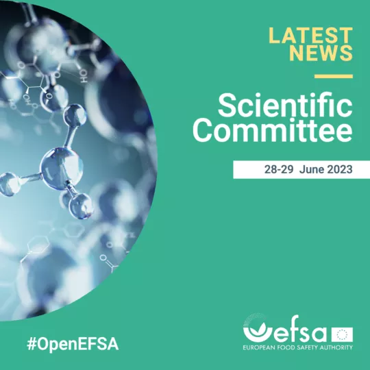 Scientific Committee cover picture