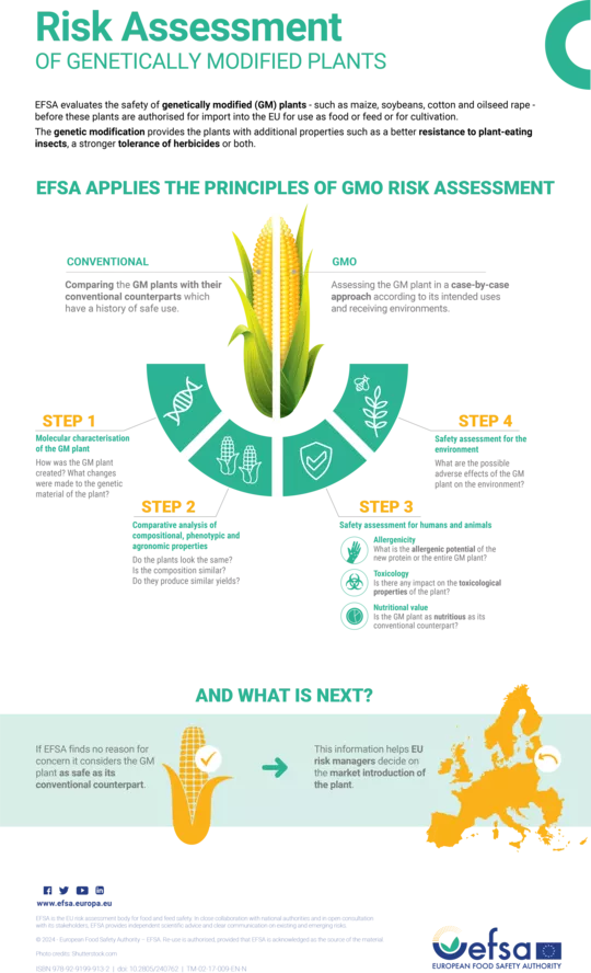 gmo infographic