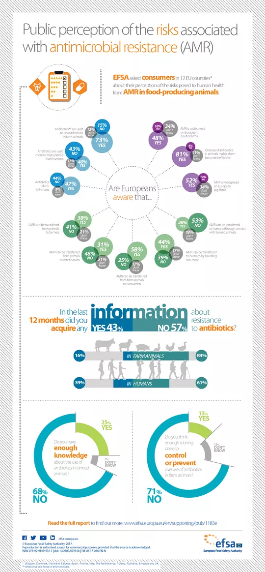 "Public perception of the risks associated with antimicrobial resistance (AMR)" infographic