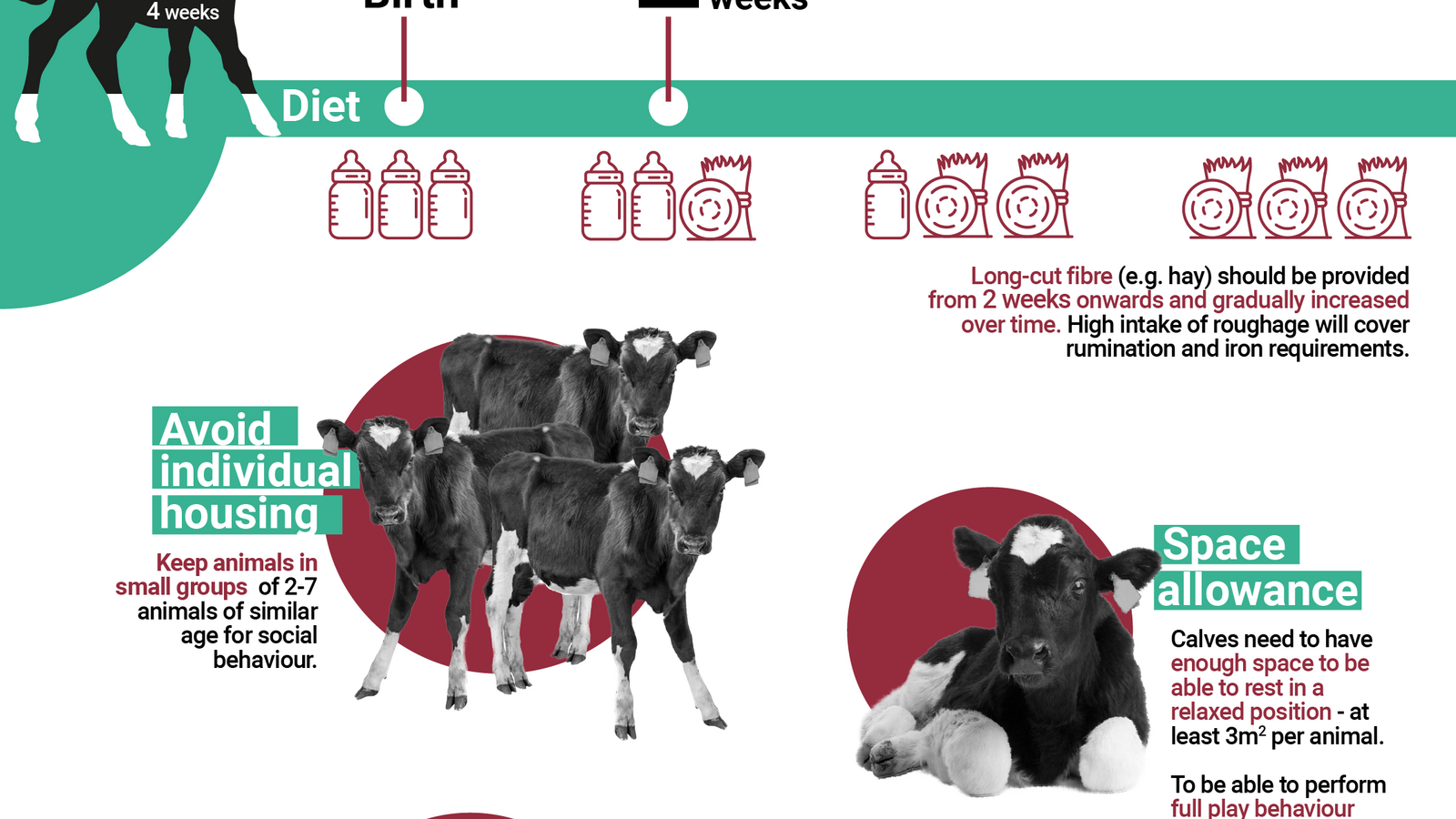 Welfare of calves on farm | EFSA