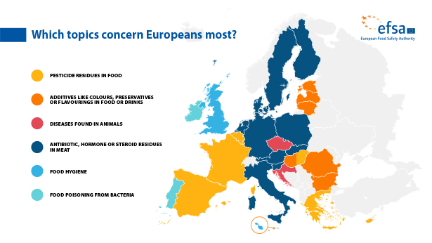 Which topics concern Europeans most?