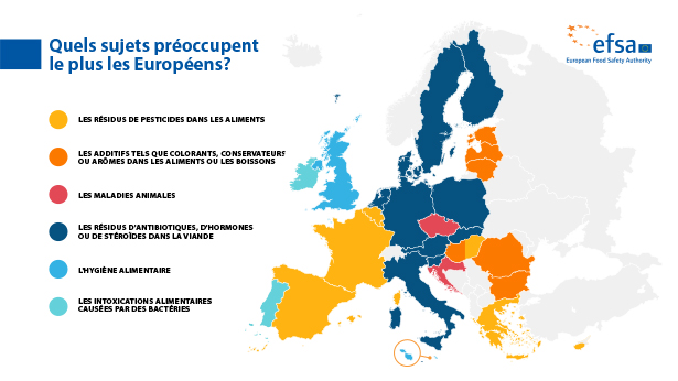Which topics concern Europeans most?