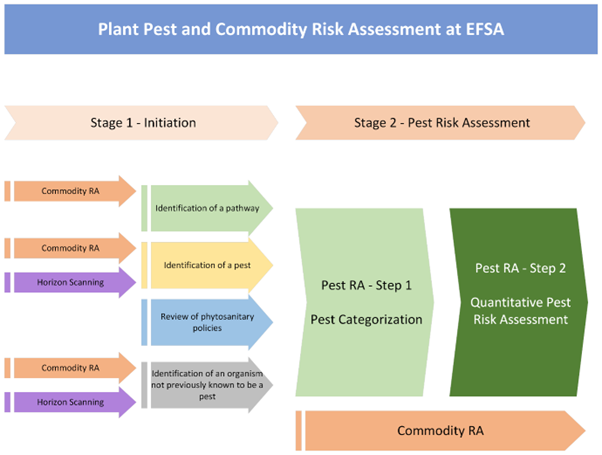 Plant Pest and Commodity Risk Assessment at EFSA