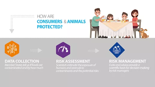 Chemical contaminants infographic