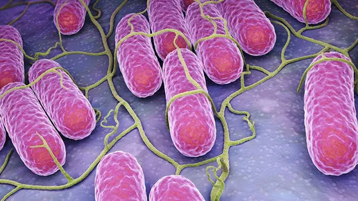 Biological hazards