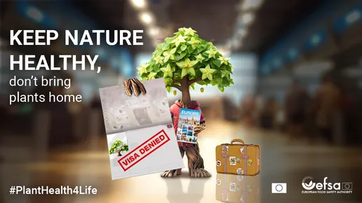 Leaflet of the Plant Health 4 life campaign, along with the "Keep nature healthy; don't bring plants home" tagline
