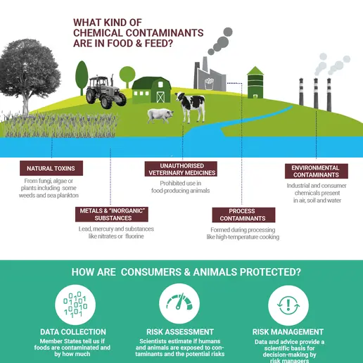 Infographic on contaminants in the food chain