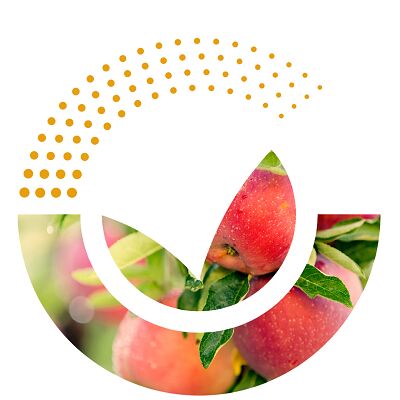 Logo with apples in the background